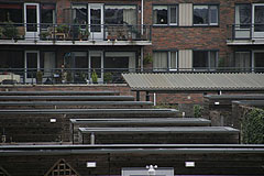 Foto 1 - Sigma